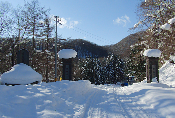 冬の山門